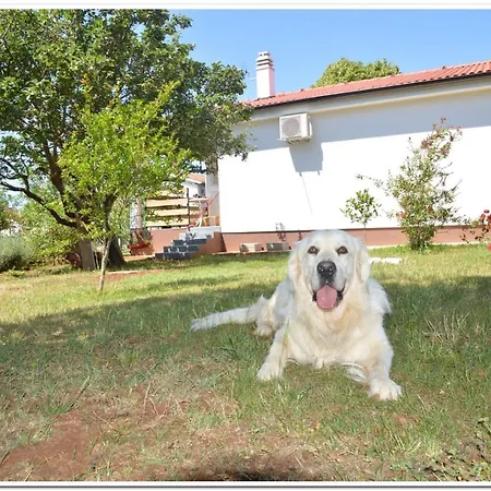 Vakantiehuis House Elena Fažana
